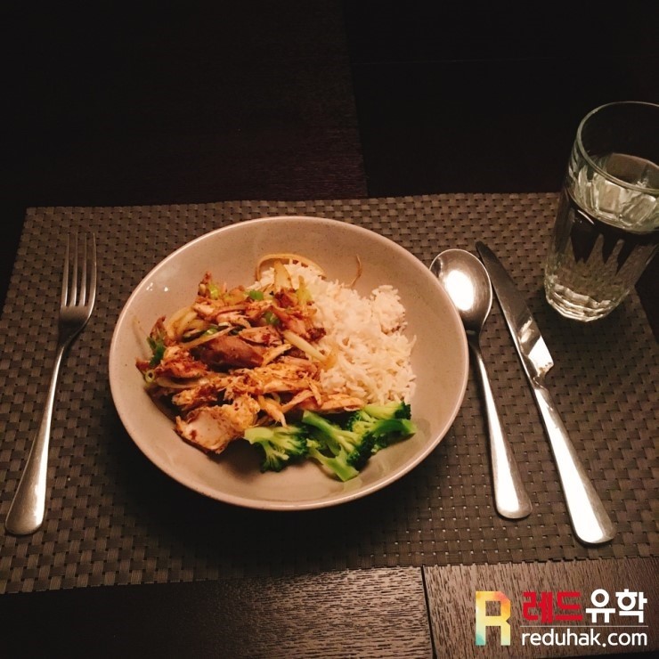 야생 캥거루 (2).jpg