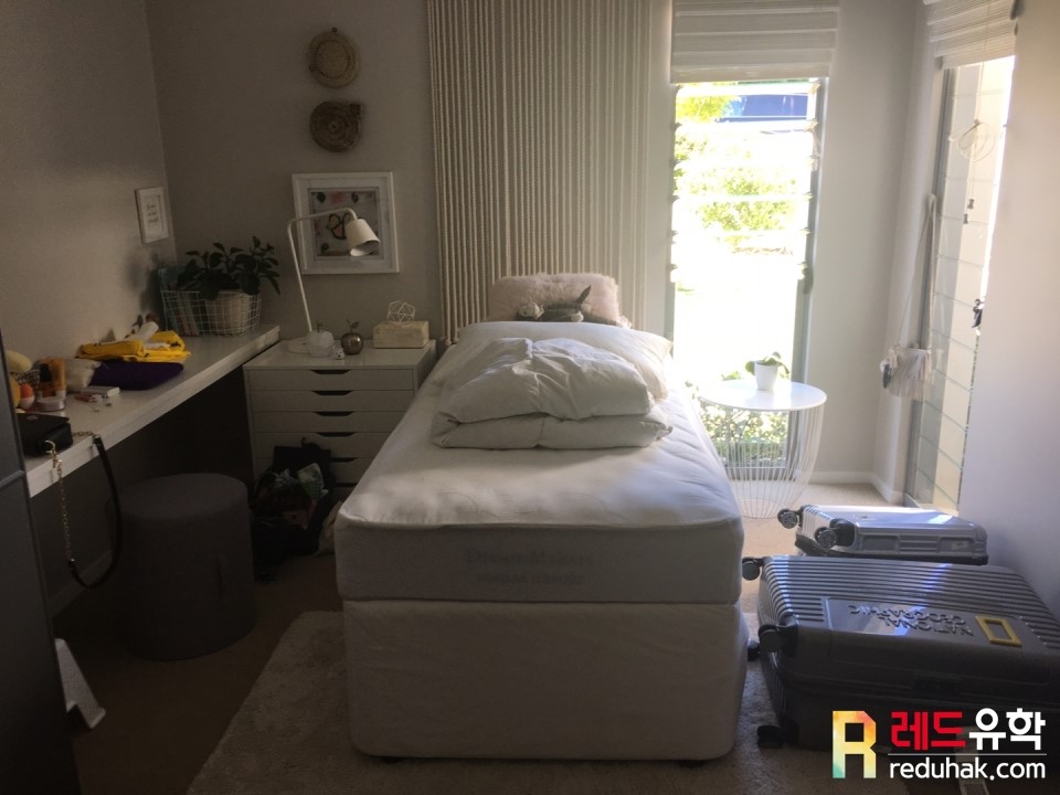 야생 캥거루 (4).jpg