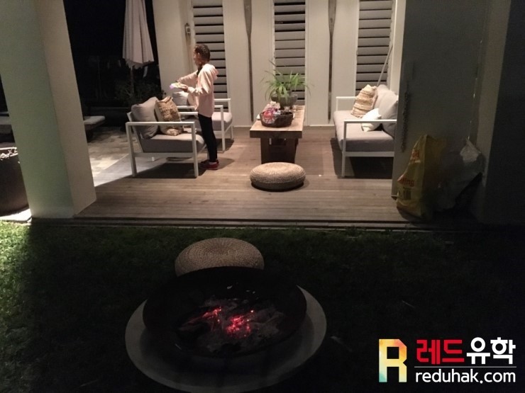 야생 캥거루 (3).jpg