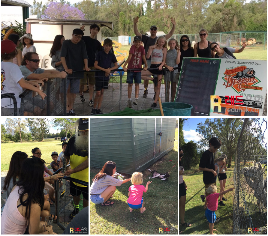 레드유학 데미페어 (2).png