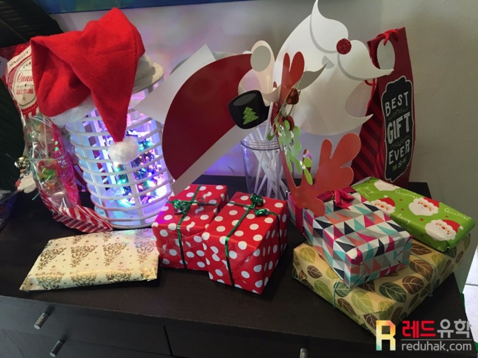 데미페어 레드유학 (6).jpg