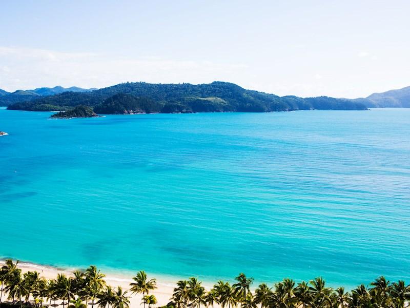 호주취업 해밀턴 (2).jpg