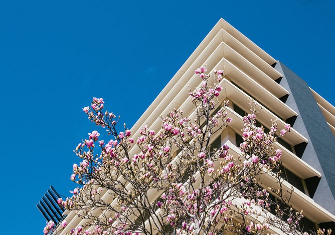 image_resize (8).jpg