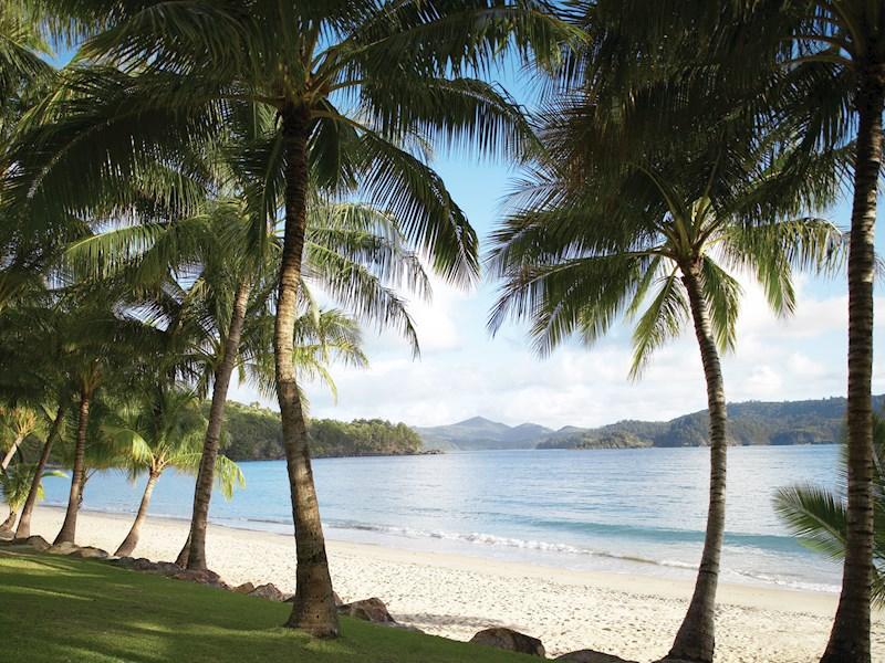 호주취업 해밀턴 (1).jpg