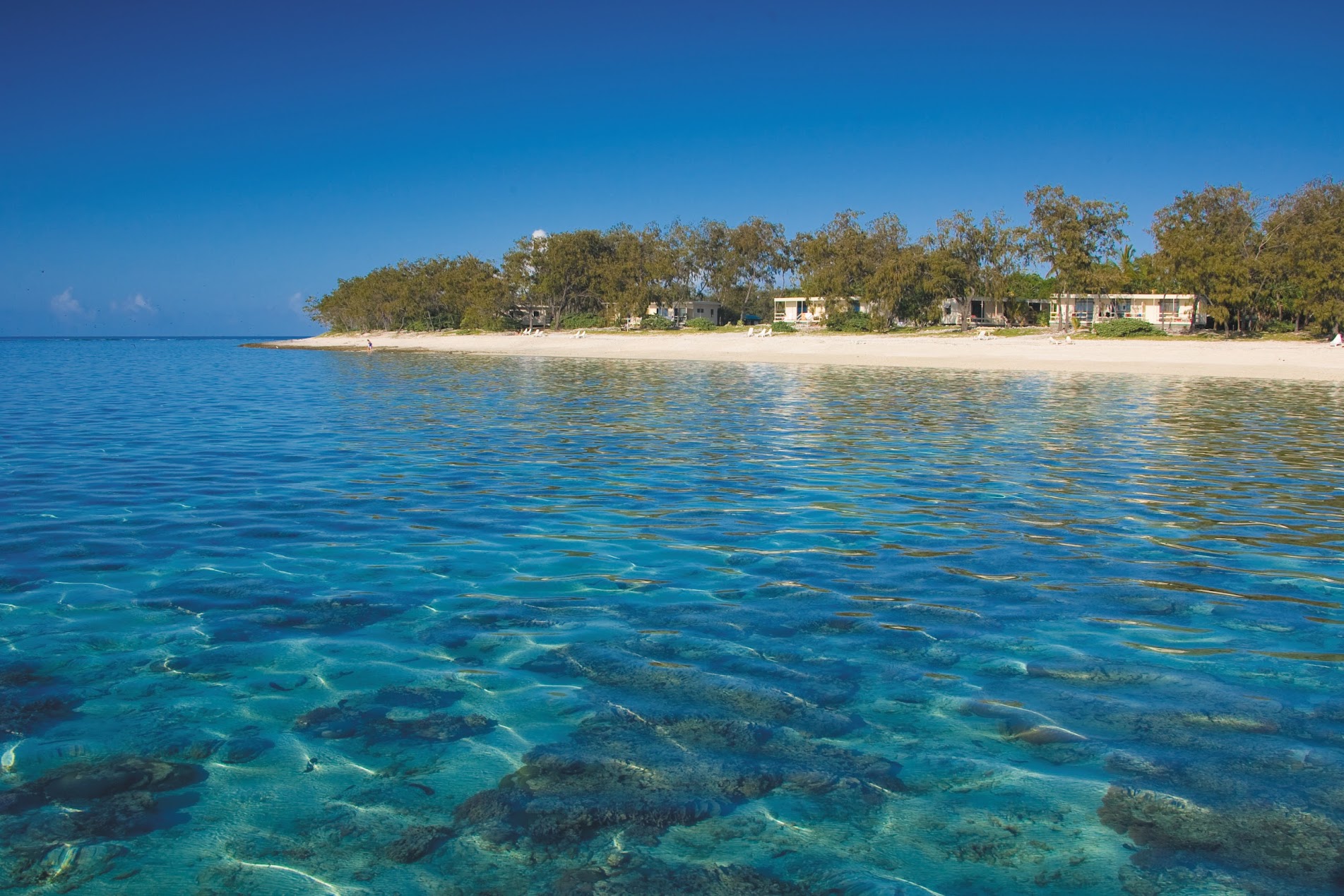 Beachfront Resort.jpg