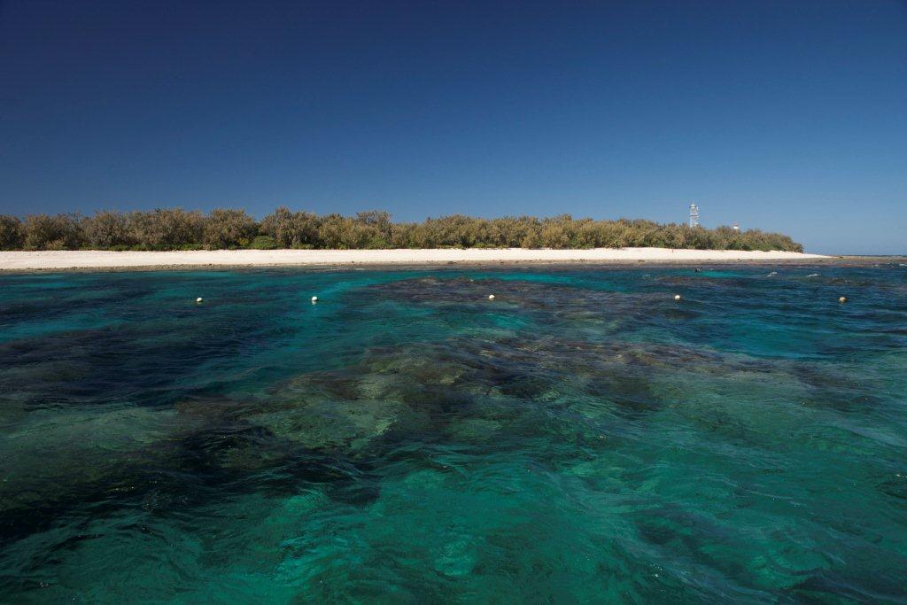 Lady Elliot Island (2).jpg