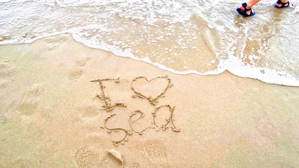 2015 바이런베이 (4).jpg