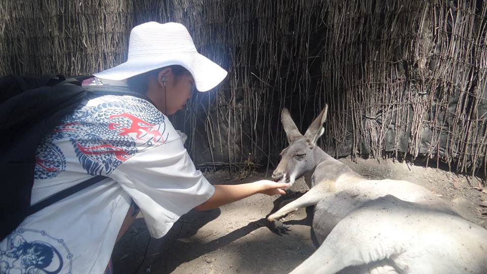 2016 paradise country (1).jpg