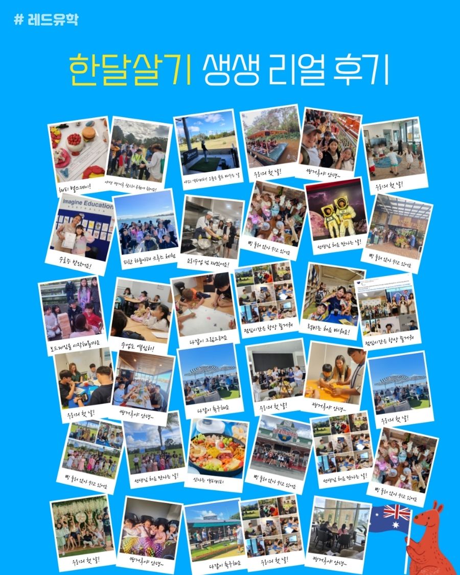 KakaoTalk_20260617_215109599_20 (1).jpg