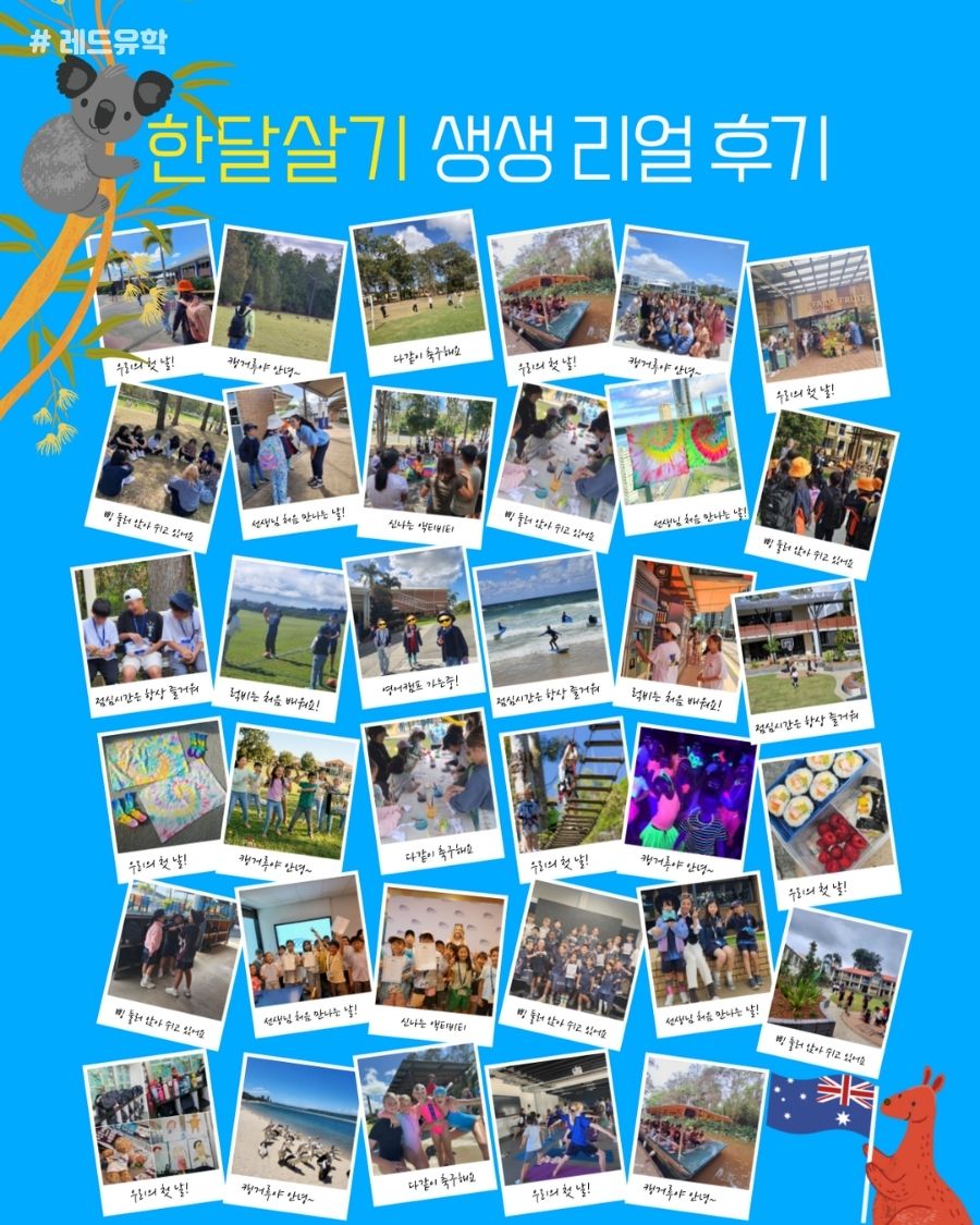KakaoTalk_20260617_215109599_19 (1).jpg